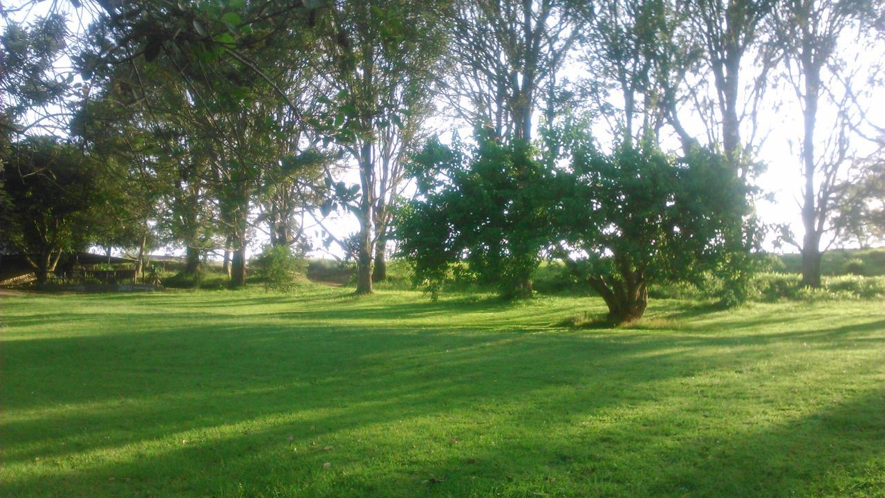 Botha's HillPhezulu Safari Park别墅 外观 照片